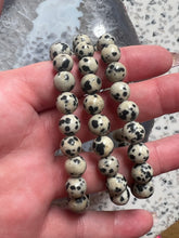 Load image into Gallery viewer, Dalmatian Jasper 8mm Bracelet