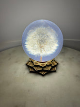 Load image into Gallery viewer, Lotus Wooden (S) White Light Sphere Stand
